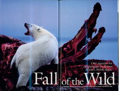 National Geographic Bears